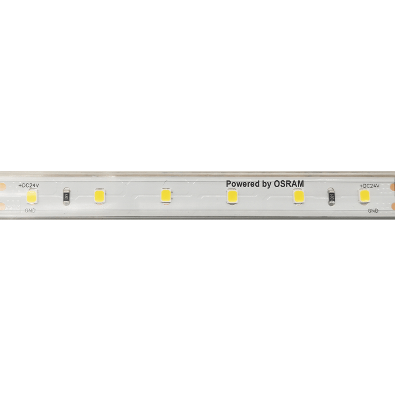 FT LED STRIP OSRAM SMD2835 24V DC 12W 3000K 1250LM/M IP66 12MM  5M 5ANI