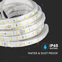 LED BANDA 24V IP65 4000K 9W 830 lm/m (10ml/rola)