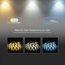 LED BANDA 24V IP65 CCT 3in1 14W 1500 lm/m (5ml/rola)