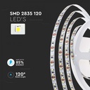 LED BANDA 24V IP20 6400K 8W 750lm/m (10ml/rola)