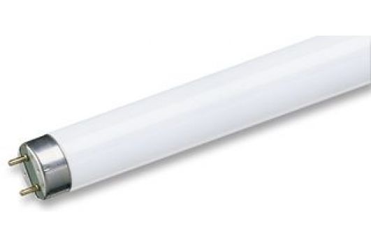 TUB FLUORESCENT 36W Philips SNOW WHITE