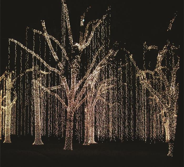 DAB CR GHIRL EXT 100 LED RECE CU CABLU 1ML DD-9004